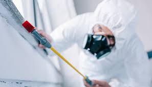 Best Pest Prevention Services  in Tamalpais Homestead Valley, CA